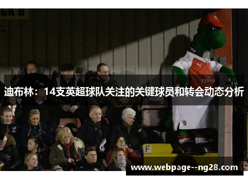 迪布林：14支英超球队关注的关键球员和转会动态分析