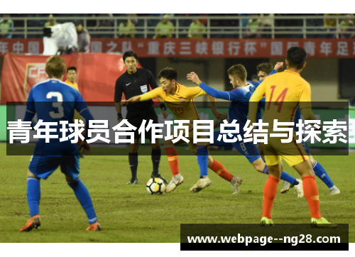 青年球员合作项目总结与探索 青年球员合作项目总结与探索