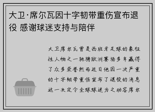 大卫·席尔瓦因十字韧带重伤宣布退役 感谢球迷支持与陪伴