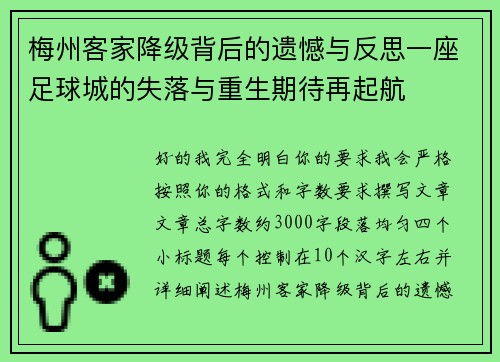 梅州客家降级背后的遗憾与反思一座足球城的失落与重生期待再起航