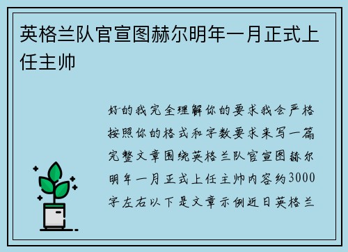 英格兰队官宣图赫尔明年一月正式上任主帅
